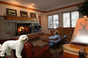 beaver creek by owner rentals